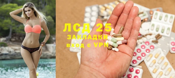 твердый Арсеньев