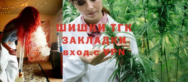 твердый Арсеньев