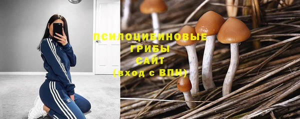 соль курить ск Армянск